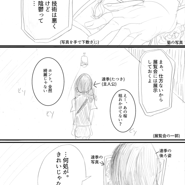 シーズン ハニー ジャンプルーキー