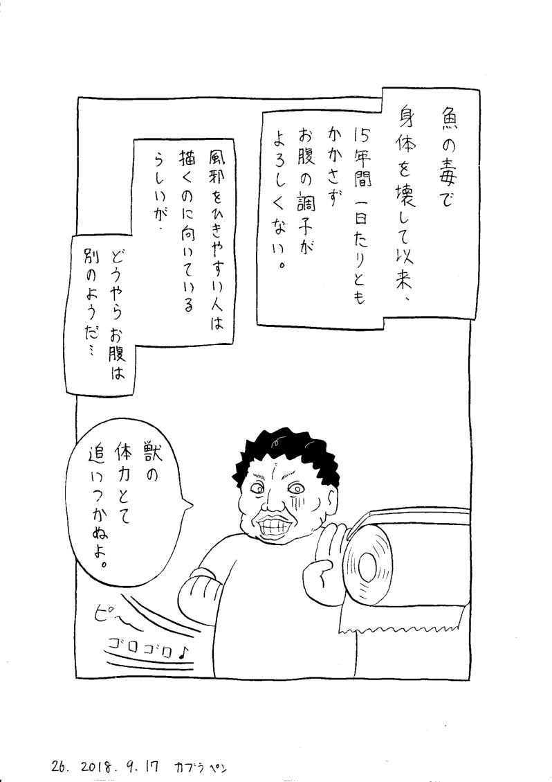  26 