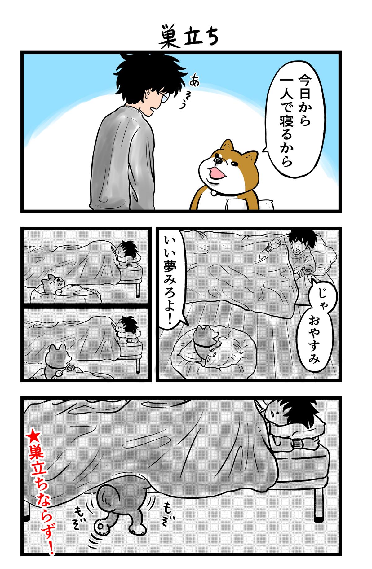 ケンちゃん 1話 - ジャンプルーキー！